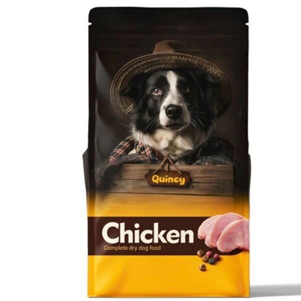 Quincy - With chicken