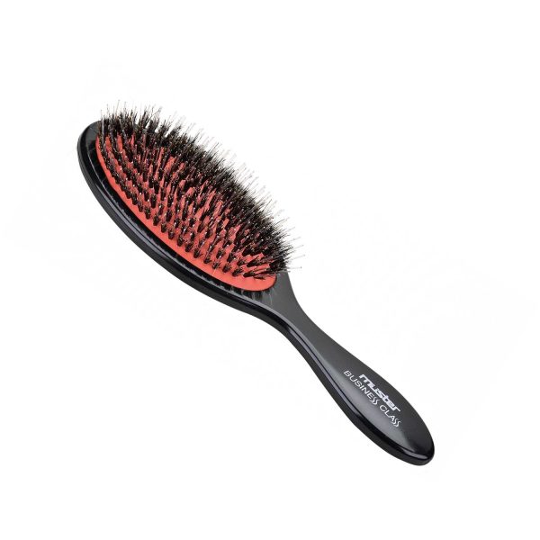 Iv San Bernard - Spazzola Ovale