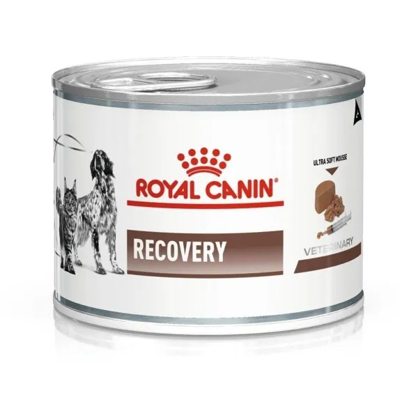 Royal Canin - Recovery Wet Food For Dog